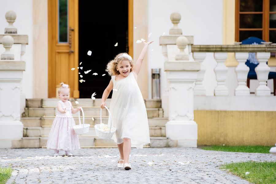 Fotógrafo de bodas Viktor Zdvizhkov (zdvizhkov). Foto del 24 de septiembre 2017