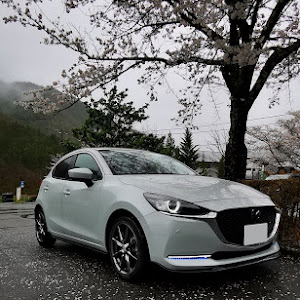 MAZDA2 DJLFS