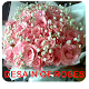 Download Design Of Roses For PC Windows and Mac 1.0