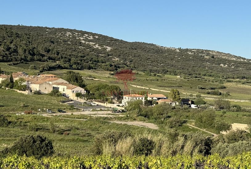  Vente Terrain à bâtir - 3 463m² à Montpeyroux (34150) 