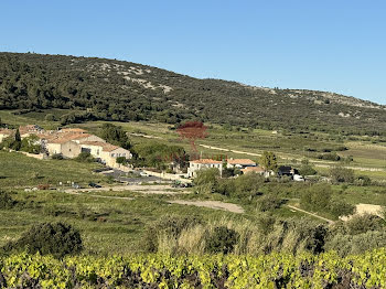 terrain à Montpeyroux (34)