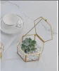 miniatures image - 1