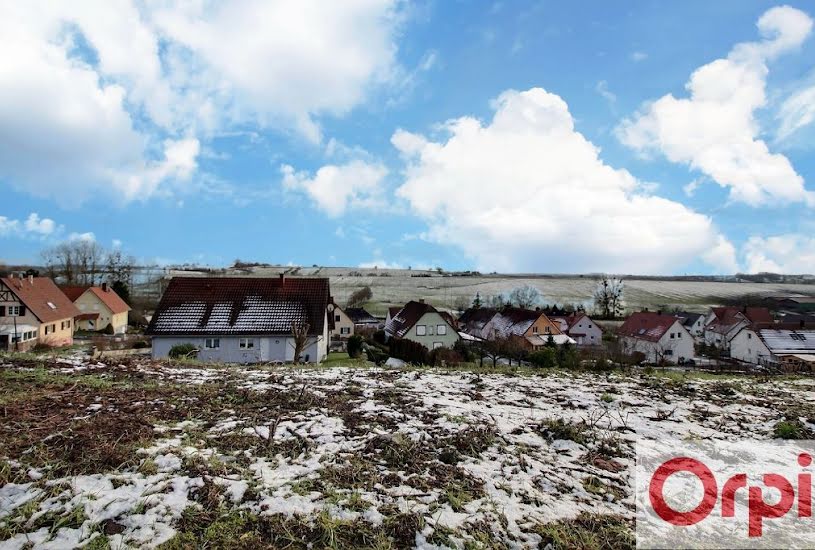  Vente Terrain à bâtir - à Offwiller (67340) 