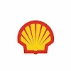 Shell Petrol Pump, Vijay Nagar, Bangalore logo