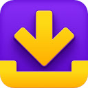 Download Manager Pro