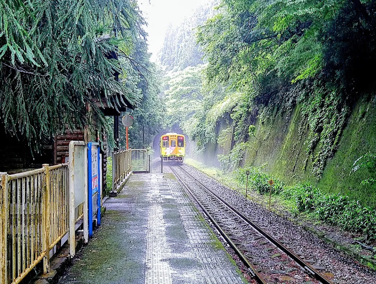 ウィッシュのあじさい・紫陽花・ドライブ・梅雨・樽見鉄道に関するカスタム事例の投稿画像10枚目