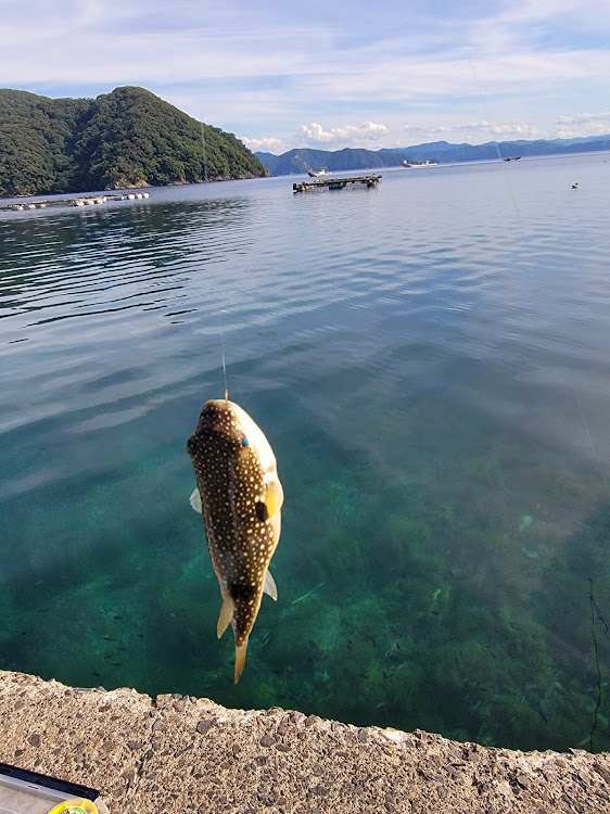 の投稿画像3枚目