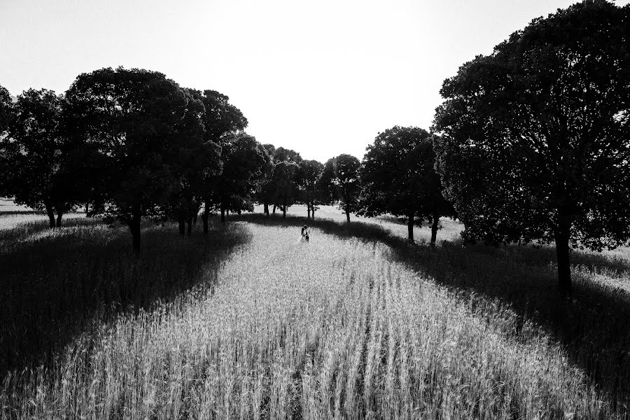 Hochzeitsfotograf Hamze Dashtrazmi (hamzedashtrazmi). Foto vom 6. Juli 2020