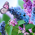 The Smell Of Lilacs LWP icon