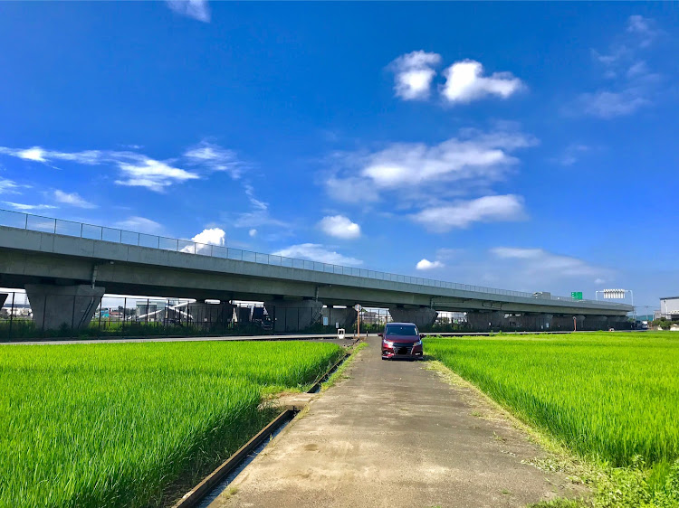 オデッセイのドライブ・通りすがりの田んぼ・圏央道がバック・まだ梅雨明け宣言しないの？に関するカスタム事例の投稿画像3枚目