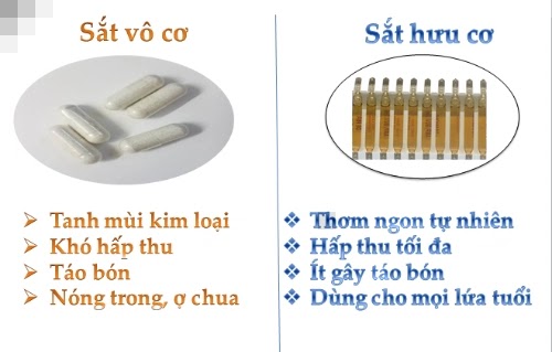 So sánh giữa sắt vô cơ và sắt hữu cơ
