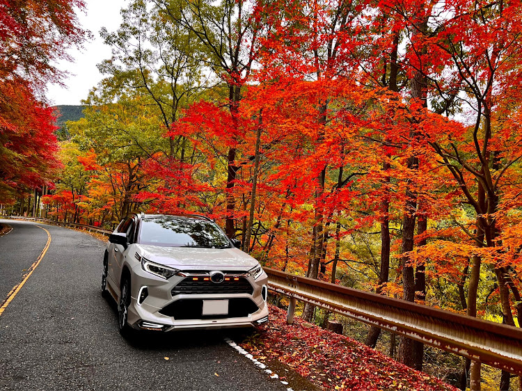RAV4のDIY・紅葉と愛車・11月もよろしくお願いします・紅葉に関するカスタム事例の投稿画像1枚目