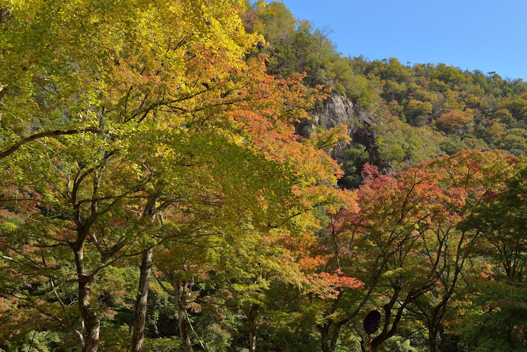 N-WGN カスタムの岡山・紅葉・豪渓・シーズンインする前に・写活の秋に関するカスタム事例の投稿画像4枚目