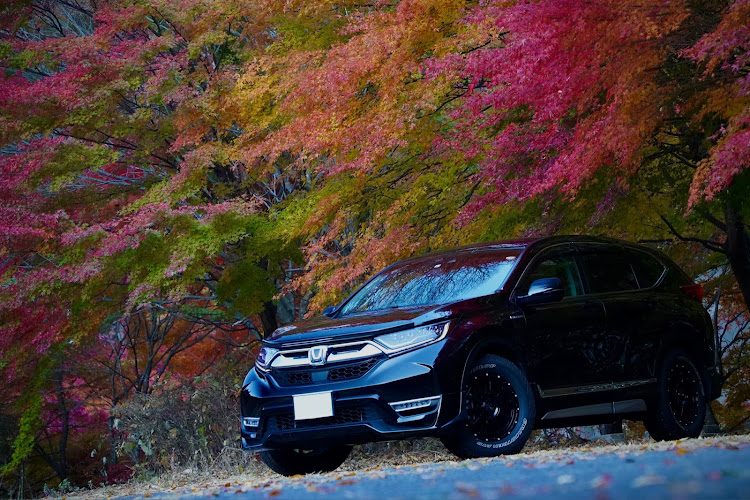 CR-Vの自然の中のCR-V・紅葉と愛車・紅葉ドライブ・長野のいいところ・おまけがメイン⁉︎に関するカスタム事例の投稿画像10枚目