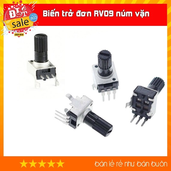 Biến Trở Đơn Rv09 Núm Vặn Chân Đứng, Chân Ngang [Rẻ Nhất Việt Nam]