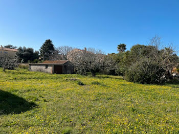 maison neuve à Six-Fours-les-Plages (83)