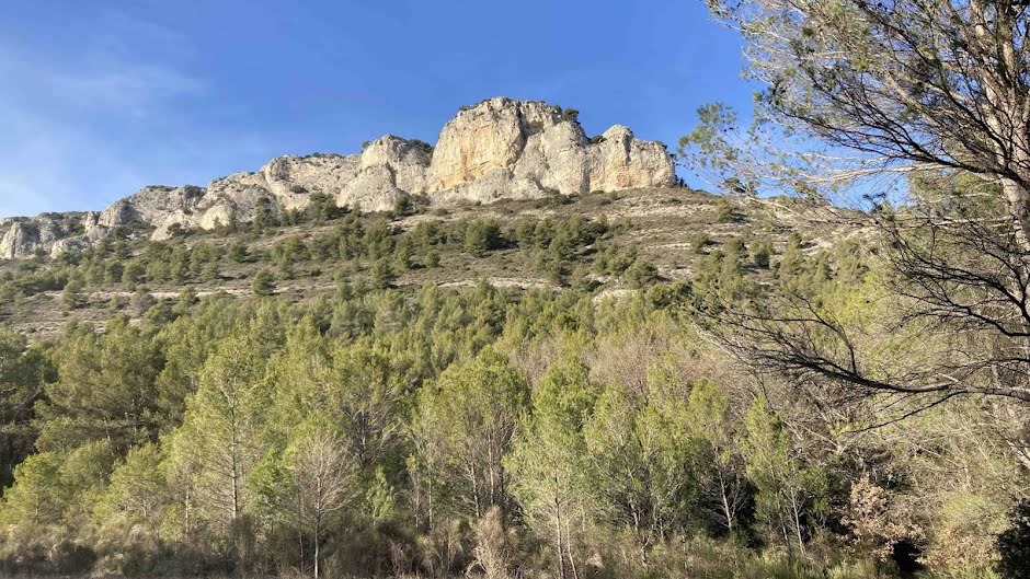 Vente terrain  25775 m² à Merindol (84360), 30 000 €