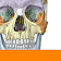 Sobotta Anatomy icon