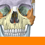 Sobotta Anatomy Apk