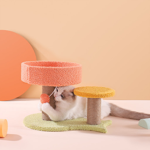 Title 1, Tianzhu Small Cat Jumping Platform Toy With Nest