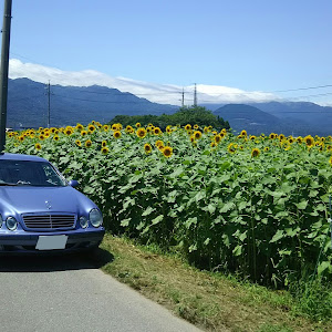 CLK クーペ C208