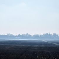 Campagna nebbiosa di 