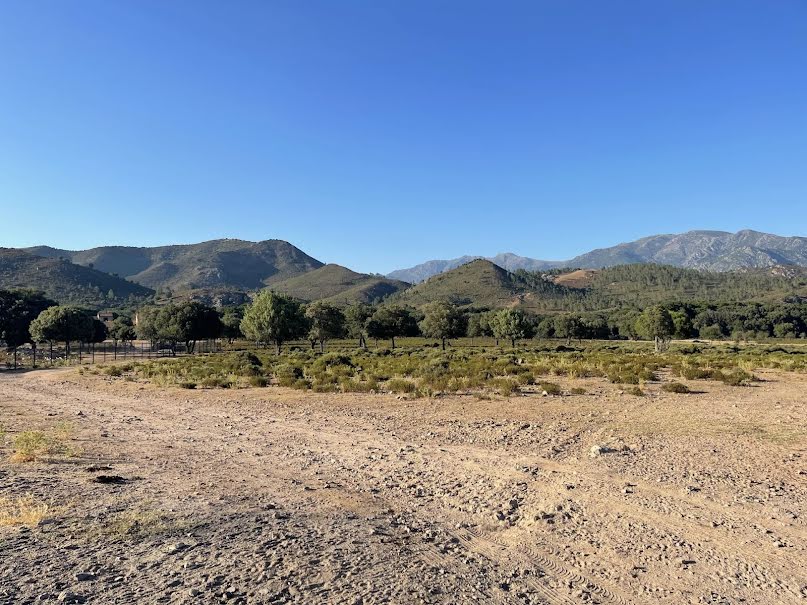 Vente terrain à batir  11871 m² à Moltifao (20218), 230 000 €