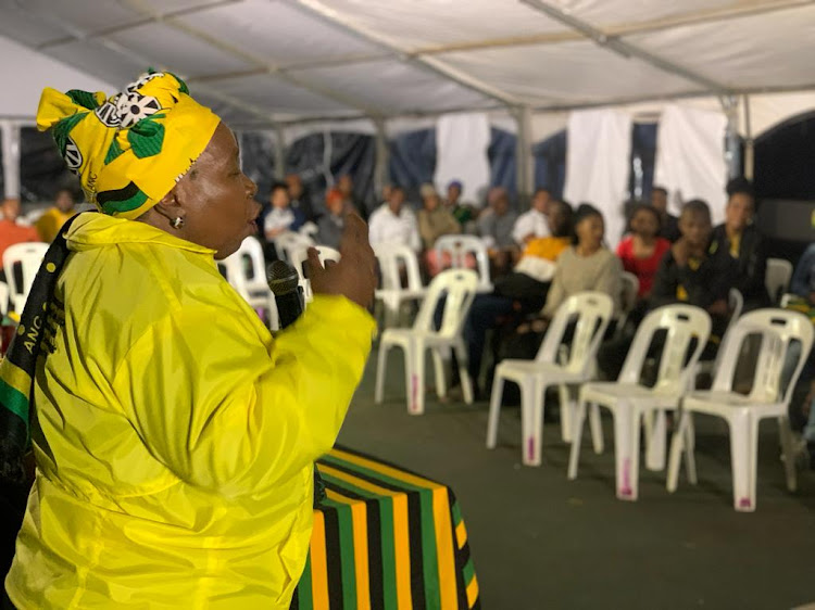 ANC NEC member Nkosazana Dlamini Zuma has been nominated by her branch to lead the party.