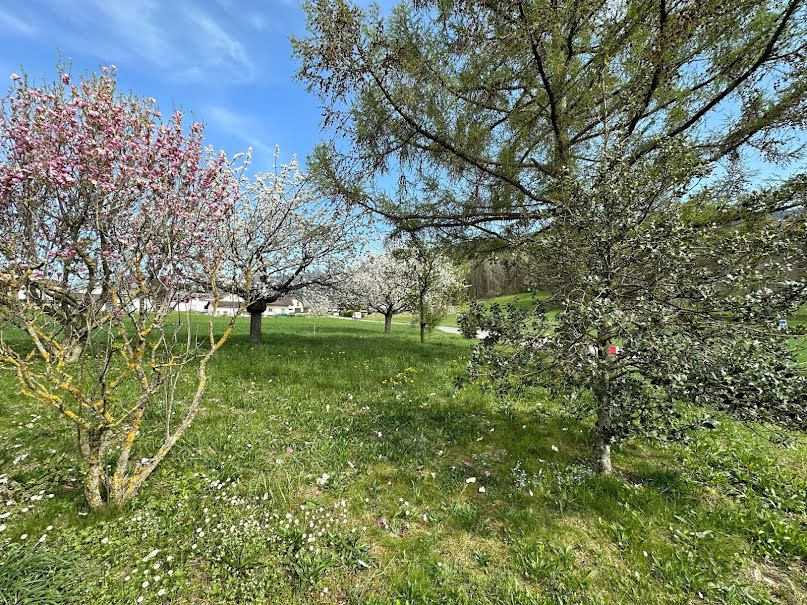 Vente terrain à batir  702 m² à Draillant (74550), 180 000 €