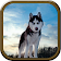 Wild Wolf Simulator icon