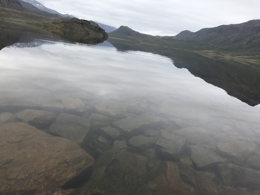 Гренландия с 02 по 15 августа 2017. Поход по The Arctic Circle Trail.