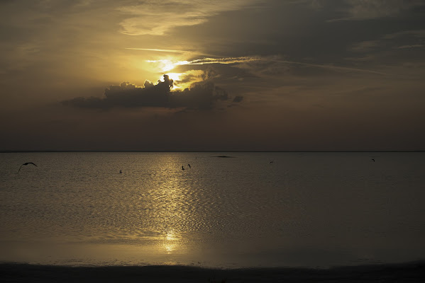 Sole d'arancio di Lucio Taranto