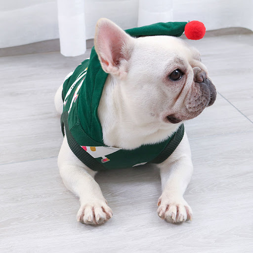 Title 4, Spring and Autumn Thin Cotton Vest Pet Vest Bre...