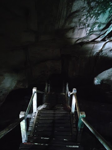 Niah Caves