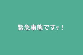 緊急事態ですｯ！