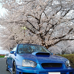 インプレッサ WRX STI GDB