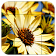 Tile Puzzles · Flowers icon