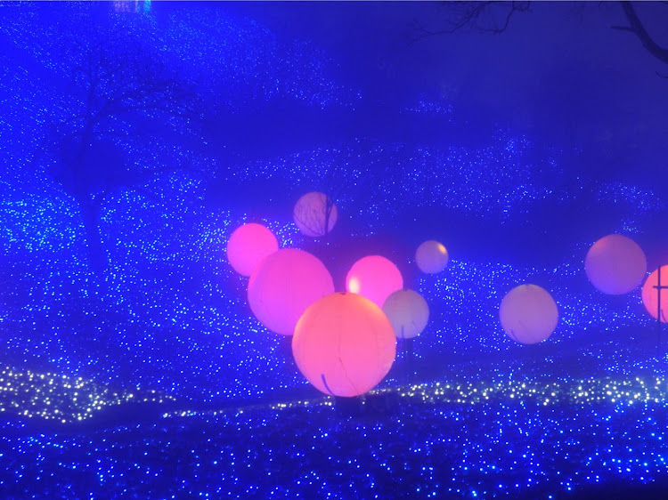 アルトのアルト・イルミネーション・イルミネーションと愛車・相模湖・プレジャーフォレストに関するカスタム事例の投稿画像4枚目