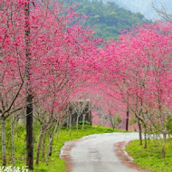 棲蘭達漾咖啡莊園