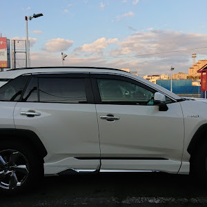 RAV4 AXAH54