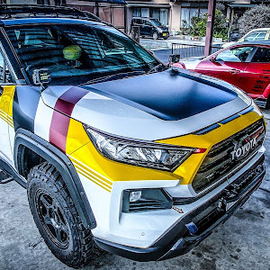 RAV4 MXAA54