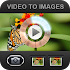 Video To Images5.0