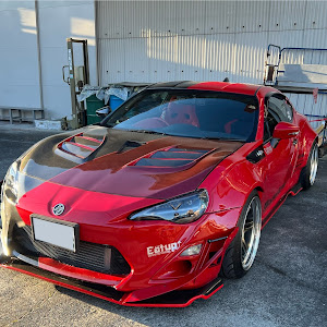 86 ZN6