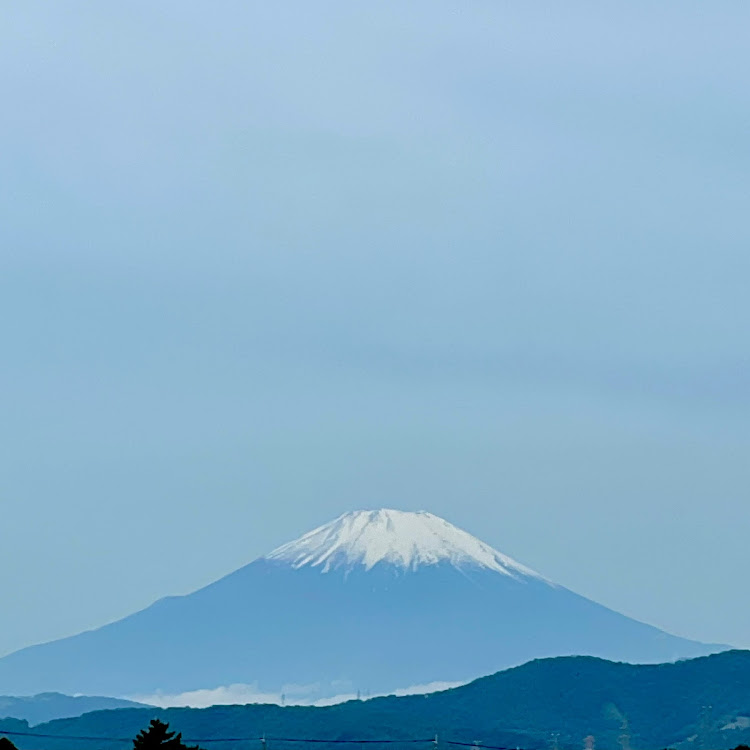 の投稿画像8枚目