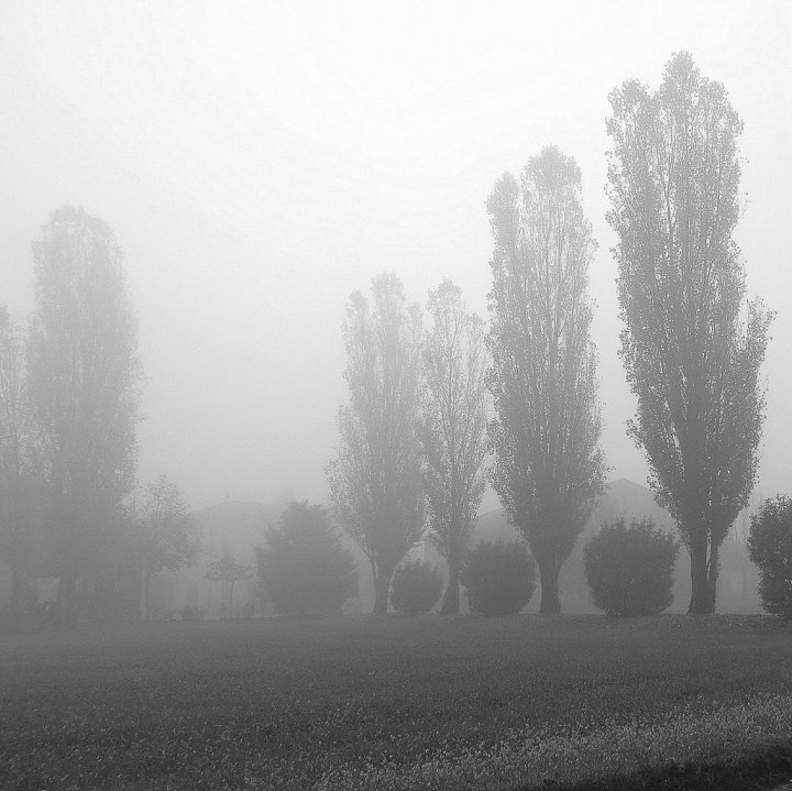 Giornata grigia.... di Wilmanna