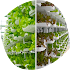 Agriculture Hydroponics1.0