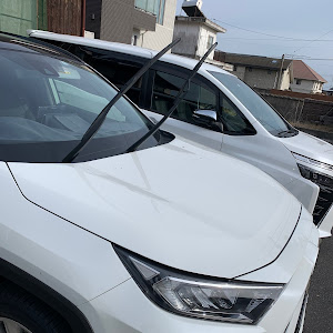 RAV4 MXAA54