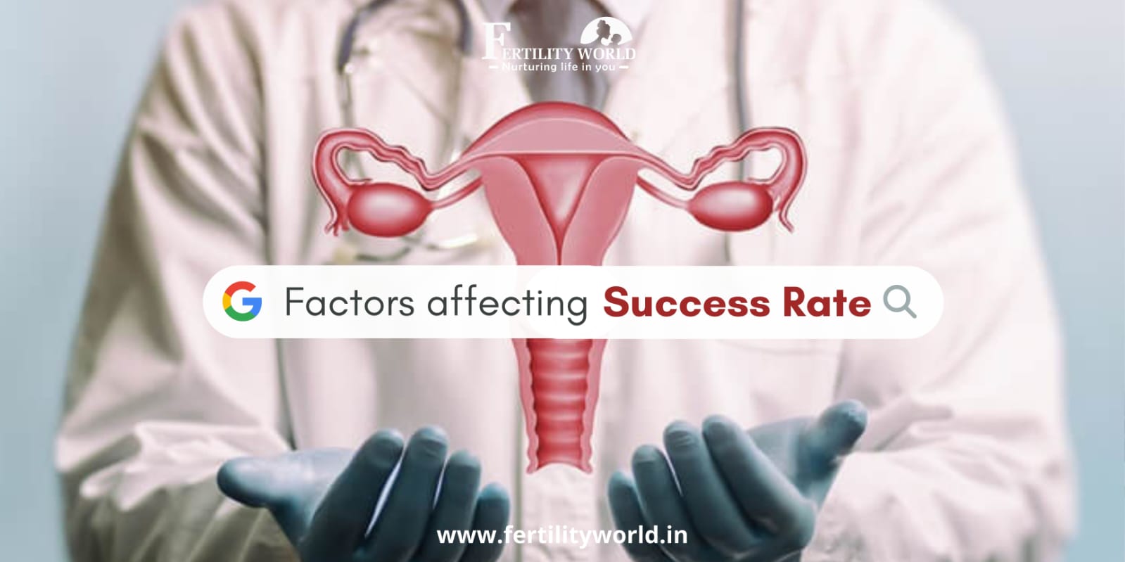 What factors can decide the successful IVF process?