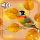 Download Birds Autumn Live Wallpaper For PC Windows and Mac 1.0