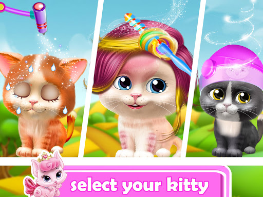 Pet Kitty Hair Salon